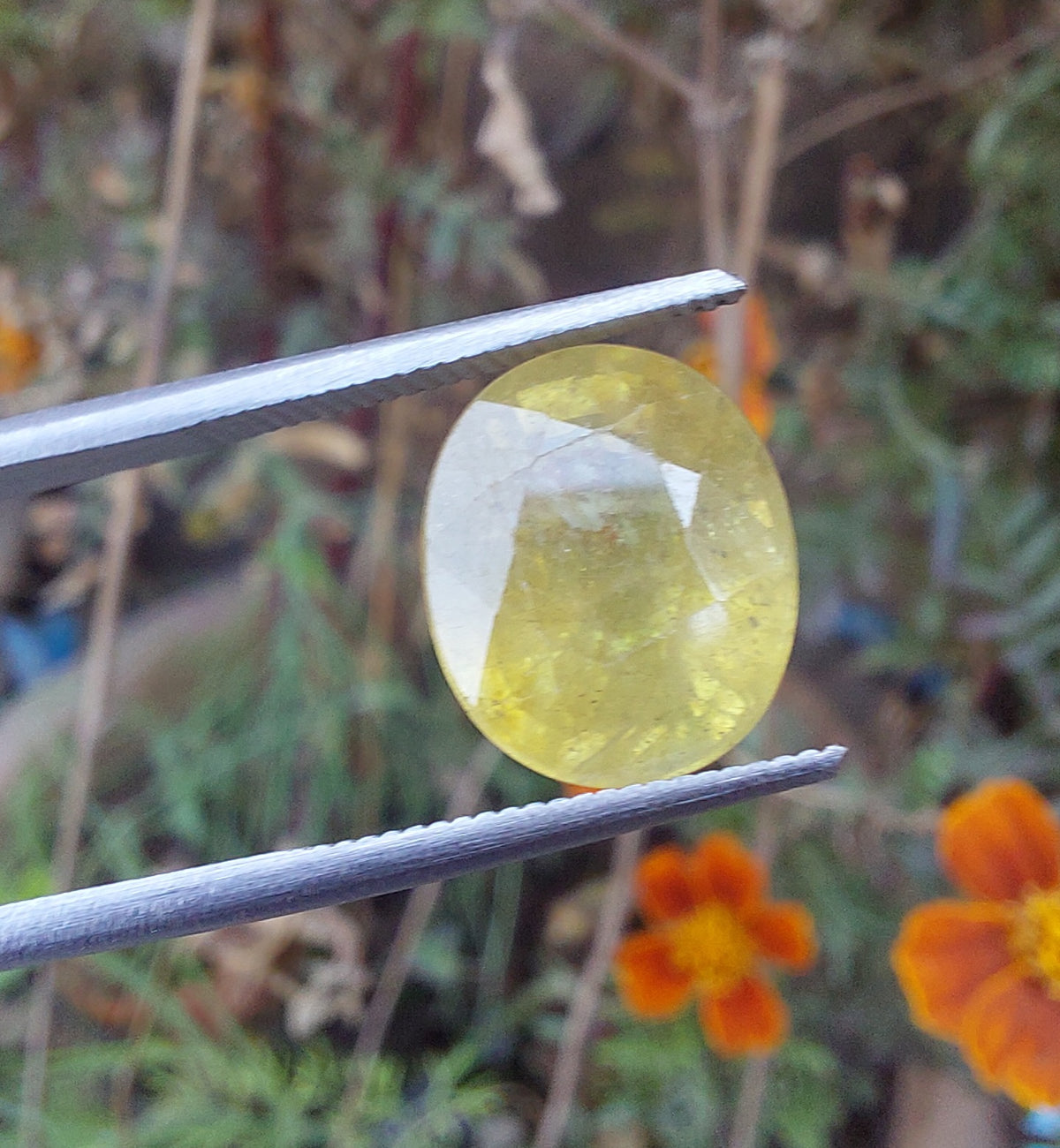 Yellow Sapphire Pukhraj 6 Carat Genuine Gemstone | Certified Natural Pukhraj