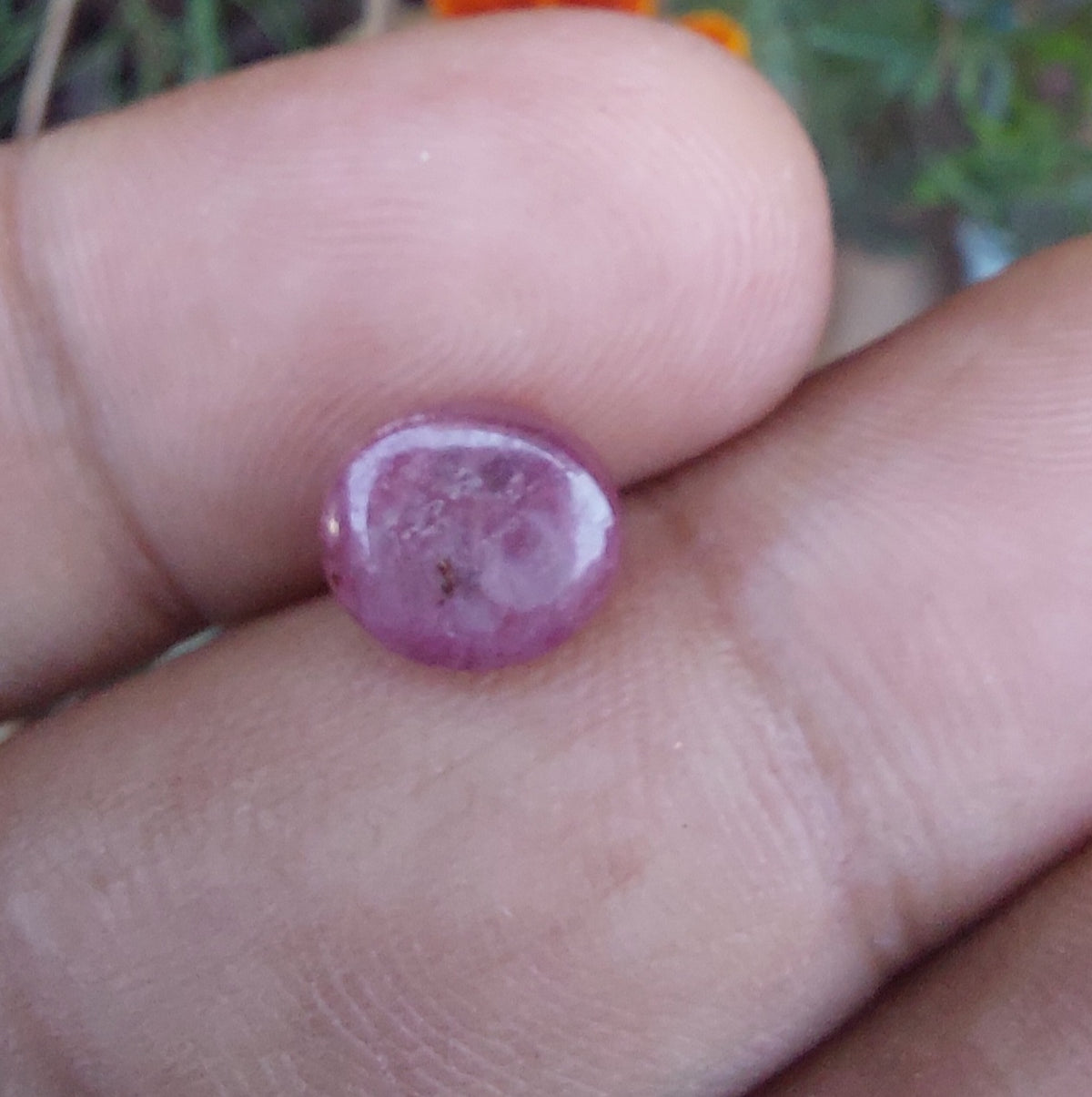 Ruby Yaqoot Genuine Star Effect – 4.20 Carat Natural Gemstone